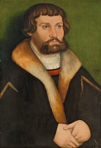 Portrait of a Bearded Man by Hans Cranach