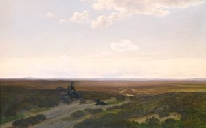View of Parup Moors near Silkeborg, Jutland by Hans Friis