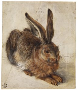 A Hare by Hans Hoffmann