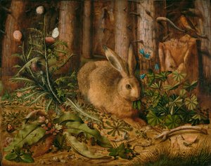 A Hare in the Forest by Hans Hoffmann