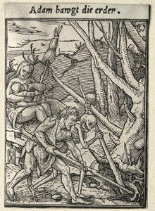 Dance of Death: Adam Tilling the Ground by Hans Holbein