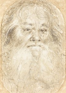 Study of a Bearded Man