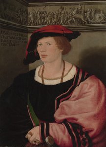 Benedikt von Hertenstein by Hans Holbein der Jüngere