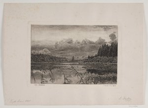 The Lake in the Pine Forest