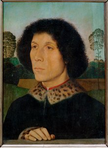 Male Portrait with Landscape