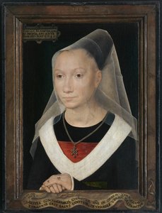 Portrait of a Young Woman
