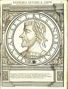 Seuerus D, illustration from 