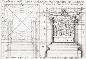 Cross section of Corinthian capital and proportional drawing by Hans Sebald Beham