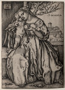 Virgin with the Parrot
