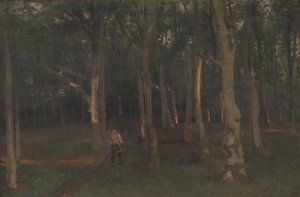 Forest at Sunset