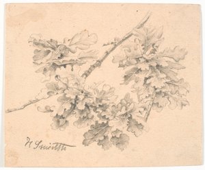 Study of Oak Branches by Hans Smidth