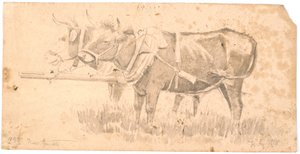 Two oxen by Hans Smidth
