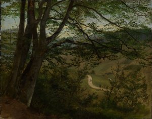 View Through Trees and Shrubs onto Valley by Hans Thoma