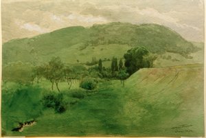 Black Forest Landscape