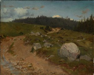 Rocky Path at the Forest Edge