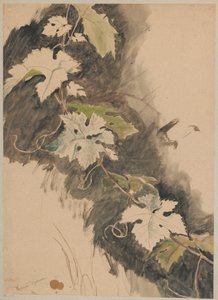 Study of Grapevines by Hans Thoma