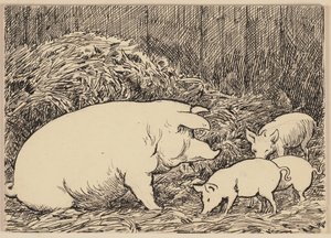 Drawing for the Primer: Pig by Hans Thoma