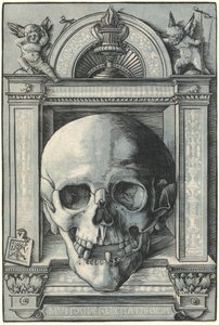 Skull by Hans Wechtlin I