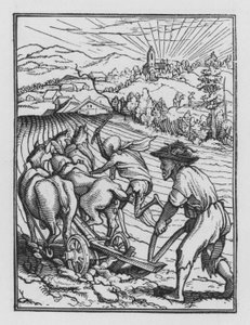 Holbein