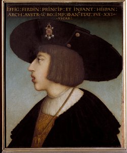 Portrait of Ferdinand I, Holy Roman Emperor and King of Bohemia and Hungary, aged 21 (wearing the collar of the Order of the Golden Fleece)