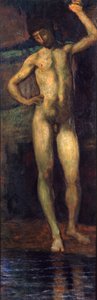 Narcissus