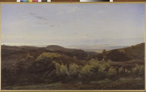Heather Hills near Rye, Jutland by Harald Foss