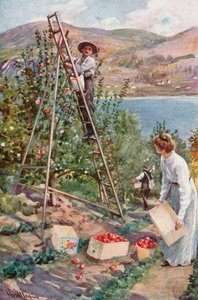 A Fruit Ranch at Nelson, British Columbia