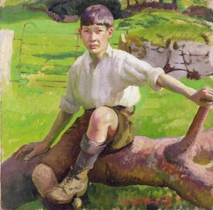 A Cornish Boy