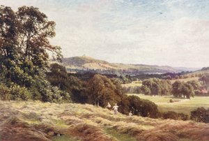 A Hayfield, Wonersh by Harold Sutton Palmer