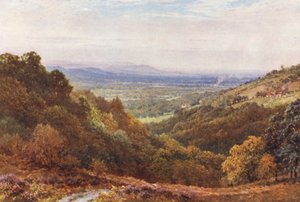 A Wide Stretch, from the Gibbet, Hindhead
