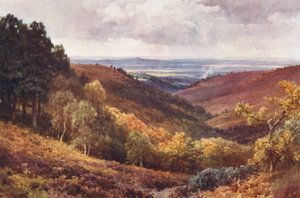 Hindhead, The Punchbowl, Looking North