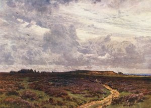 The Sandy Road, Milford Heath