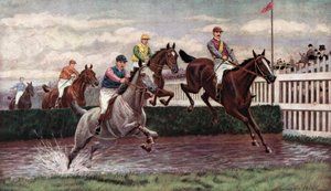 Steeplechasing