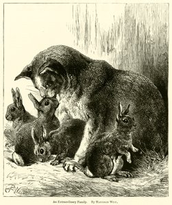An Extraordinary Family by Harrison William Weir