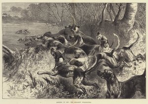 Hitting it Off, the Mid-Kent Staghounds