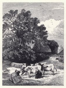 Milking the Cows by Harrison William Weir