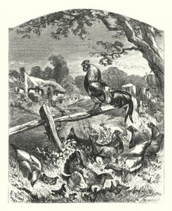 Praise of Country Life by Harrison William Weir