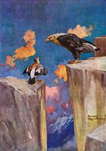 The Jay and the Nightingale