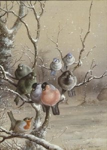 Birds on a Snowy Branch