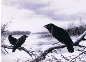 Ravens in winter by Harry Bright