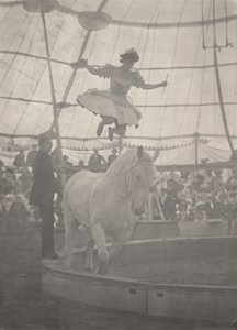The Circus