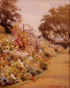 A Summer Border