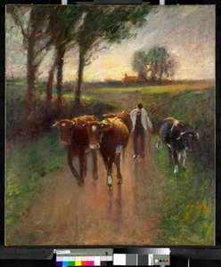 Herding Cows to Pasture