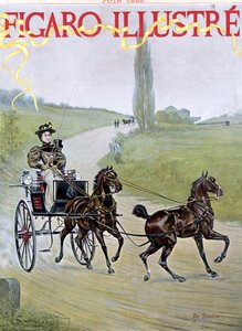 Woman driving carriage