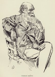 Charles Darwin by Harry Furniss