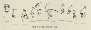 The Noes-es (ie Politicians
