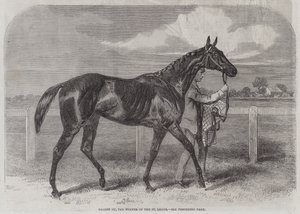 Caller Ou, the Winner of the St Leger by Harry Hall