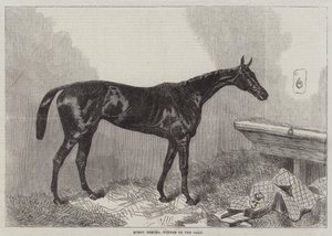 Queen Bertha, Winner of the Oaks by Harry Hall