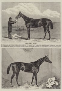 Racehorse