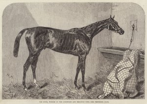 The Duke, Winner of the Goodwood and Brighton Cups by Harry Hall